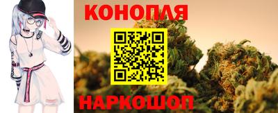 стафф Краснодар