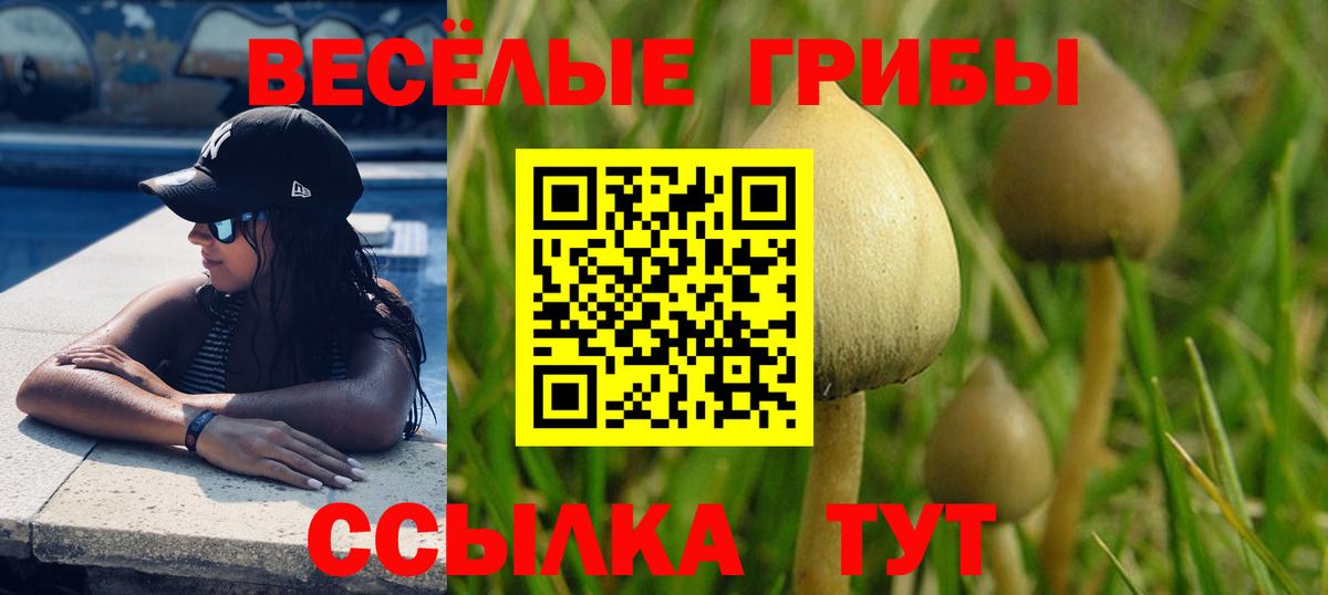 Углич  Псилоцибиновые грибы Magic Shrooms  Псилоцибиновые грибы Psilocybe  Вход с VPN 