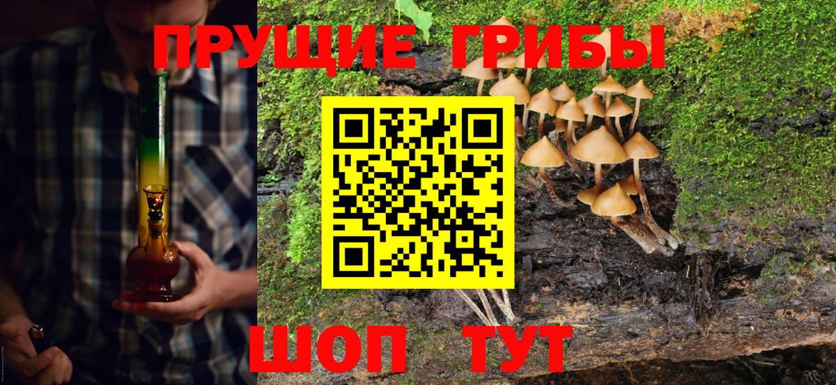 Псилоцибиновые грибы Cubensis Углич